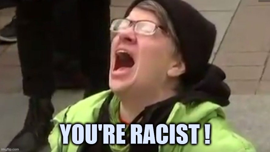 Screaming Liberal  | YOU'RE RACIST ! | image tagged in screaming liberal | made w/ Imgflip meme maker