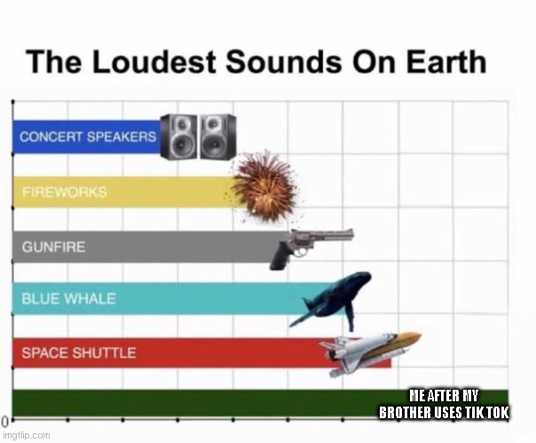 The Loudest Sounds on Earth | ME AFTER MY BROTHER USES TIK TOK | image tagged in the loudest sounds on earth | made w/ Imgflip meme maker