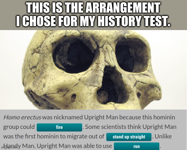 THIS IS THE ARRANGEMENT I CHOSE FOR MY HISTORY TEST. | image tagged in school,history,memes,funny memes | made w/ Imgflip meme maker