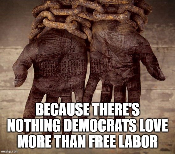 BECAUSE THERE'S NOTHING DEMOCRATS LOVE MORE THAN FREE LABOR | made w/ Imgflip meme maker