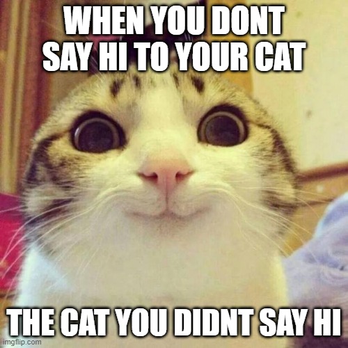 Smiling Cat Meme | WHEN YOU DONT SAY HI TO YOUR CAT; THE CAT YOU DIDNT SAY HI | image tagged in memes,smiling cat | made w/ Imgflip meme maker