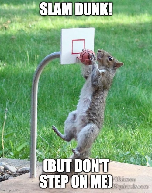 Little LeBron | SLAM DUNK! (BUT DON'T STEP ON ME) | image tagged in squirrel basketball | made w/ Imgflip meme maker