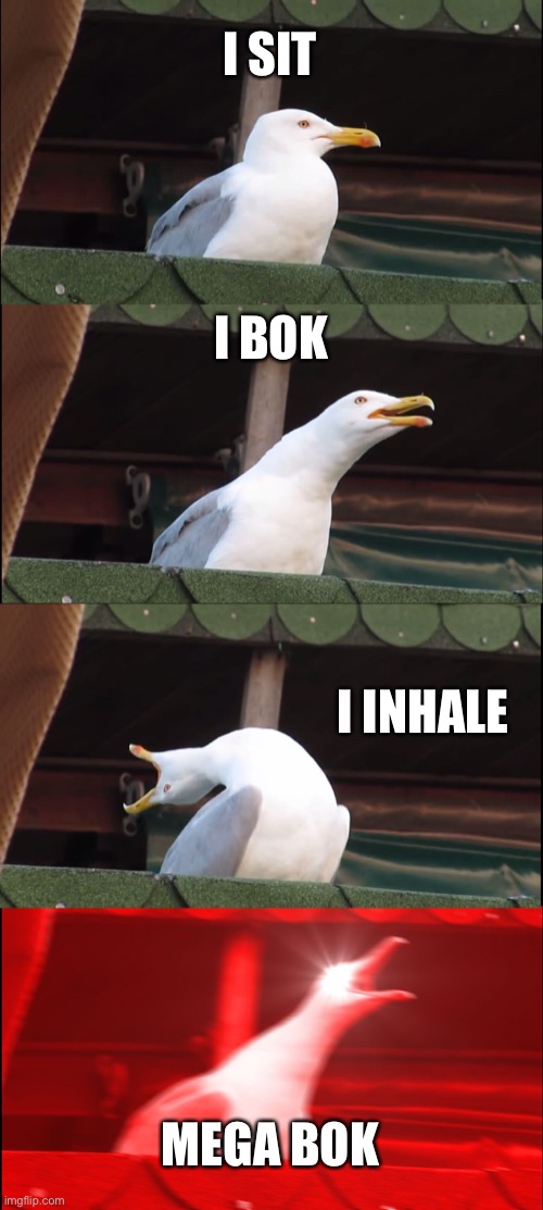 Inhaling Seagull | I SIT; I BOK; I INHALE; MEGA BOK | image tagged in memes,inhaling seagull | made w/ Imgflip meme maker