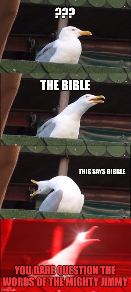 Inhaling Seagull | ??? THE BIBLE; THIS SAYS BIBBLE; YOU DARE QUESTION THE WORDS OF THE MIGHTY JIMMY | image tagged in memes,inhaling seagull | made w/ Imgflip meme maker