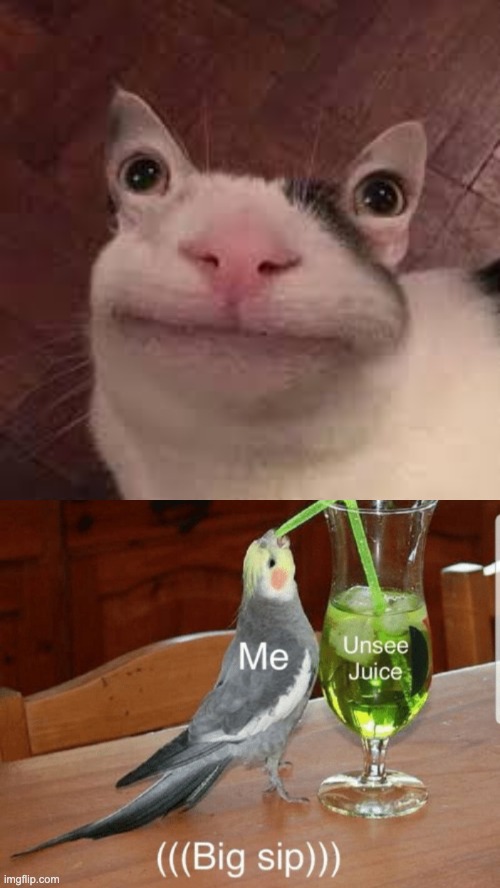 *big sip* | image tagged in unsee juice | made w/ Imgflip meme maker