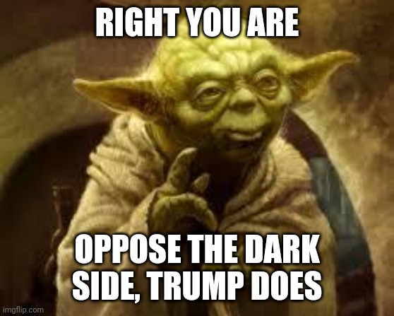 yoda | RIGHT YOU ARE OPPOSE THE DARK SIDE, TRUMP DOES | image tagged in yoda | made w/ Imgflip meme maker