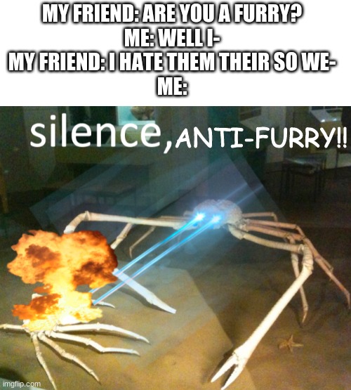 we are more than weird were a family | MY FRIEND: ARE YOU A FURRY?
ME: WELL I-
MY FRIEND: I HATE THEM THEIR SO WE-
ME:; ANTI-FURRY!! | image tagged in blank white template,silence crab,memes,furries | made w/ Imgflip meme maker