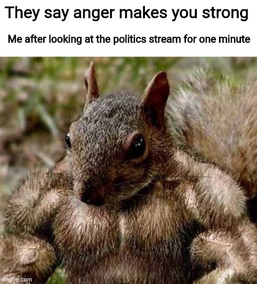 At first it is funny. But then it's sad to see how many follow that bullshit. | They say anger makes you strong; Me after looking at the politics stream for one minute | image tagged in muscle squirrel | made w/ Imgflip meme maker