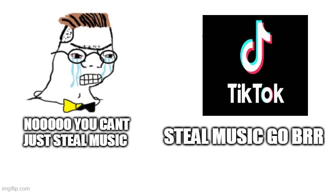 ban tiktok its had been months.. india and north korea banned it | STEAL MUSIC GO BRR; NOOOOO YOU CANT JUST STEAL MUSIC | image tagged in noooo you can't just | made w/ Imgflip meme maker