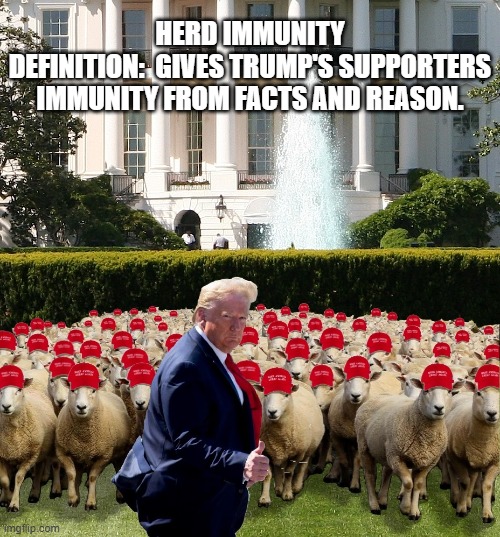 Herd Immunity | HERD IMMUNITY
DEFINITION:  GIVES TRUMP'S SUPPORTERS IMMUNITY FROM FACTS AND REASON. | image tagged in covid-19,donald trump | made w/ Imgflip meme maker
