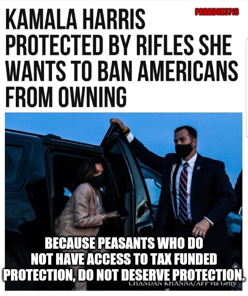 Violence for thee, but not for me. | PARADOX3713; BECAUSE PEASANTS WHO DO NOT HAVE ACCESS TO TAX FUNDED PROTECTION, DO NOT DESERVE PROTECTION. | image tagged in memes,politics,kamala harris,joe biden,election 2020,donald trump | made w/ Imgflip meme maker