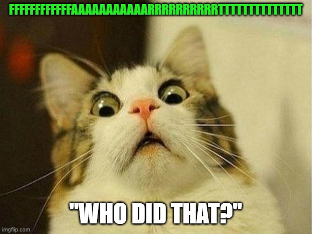 Scared Cat Meme | FFFFFFFFFFFFAAAAAAAAAAARRRRRRRRRRTTTTTTTTTTTTTT; "WHO DID THAT?" | image tagged in memes,scared cat | made w/ Imgflip meme maker