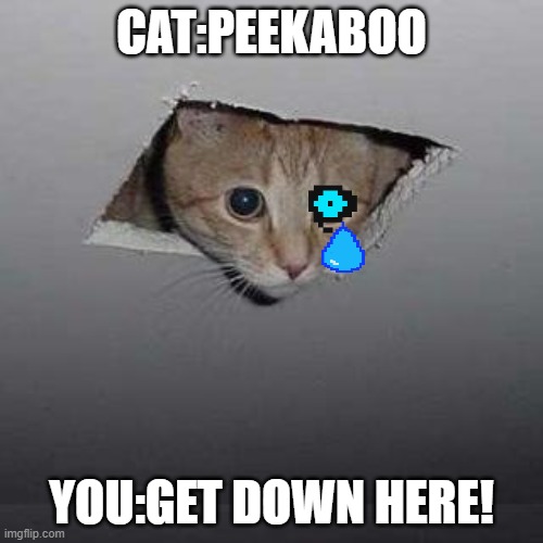 Ceiling Cat | CAT:PEEKABOO; YOU:GET DOWN HERE! | image tagged in memes,ceiling cat | made w/ Imgflip meme maker