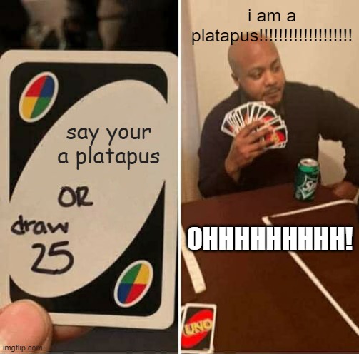 UNO Draw 25 Cards | i am a platapus!!!!!!!!!!!!!!!!!!! say your a platapus; OHHHHHHHHH! | image tagged in memes,uno draw 25 cards | made w/ Imgflip meme maker