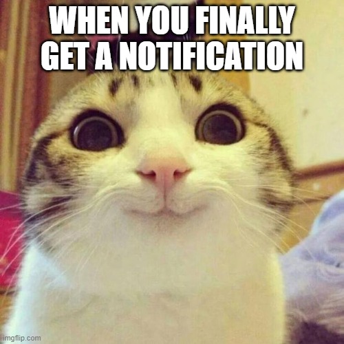 Smiling Cat | WHEN YOU FINALLY GET A NOTIFICATION | image tagged in memes,smiling cat | made w/ Imgflip meme maker