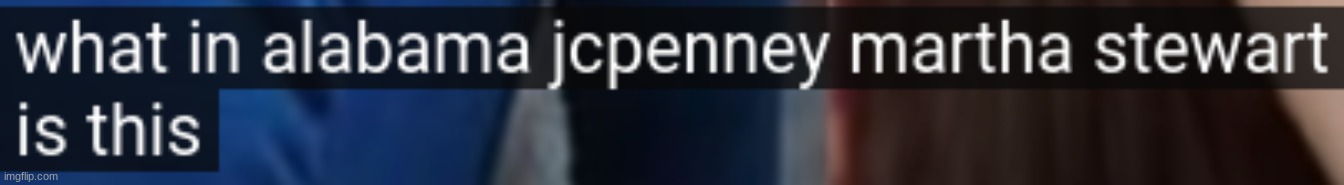 What in alabama jcpenny martha stewart is this | image tagged in what in alabama jcpenny martha stewart is this | made w/ Imgflip meme maker