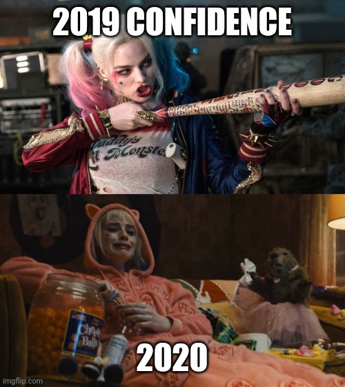 2020 | 2019 CONFIDENCE; 2020 | image tagged in 2020,harley quinn | made w/ Imgflip meme maker