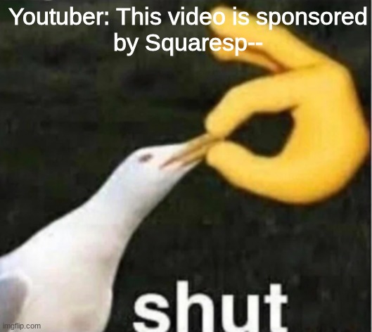 So annoying... | Youtuber: This video is sponsored
by Squaresp-- | image tagged in shut up | made w/ Imgflip meme maker
