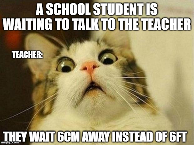Scared Cat Meme | A SCHOOL STUDENT IS WAITING TO TALK TO THE TEACHER; TEACHER:; THEY WAIT 6CM AWAY INSTEAD OF 6FT | image tagged in memes,scared cat | made w/ Imgflip meme maker