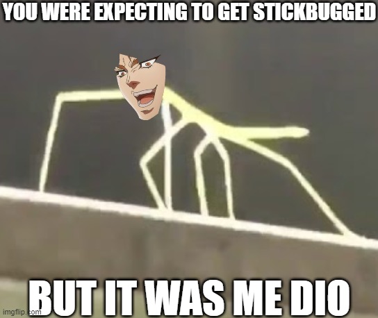 Get Stickbugged LOL | YOU WERE EXPECTING TO GET STICKBUGGED; BUT IT WAS ME DIO | image tagged in get stickbugged lol | made w/ Imgflip meme maker