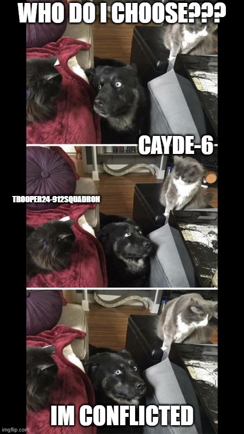 Conflicted Dog | WHO DO I CHOOSE??? CAYDE-6; TROOPER24-912SQUADRON; IM CONFLICTED | image tagged in conflicted dog | made w/ Imgflip meme maker