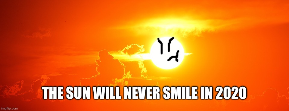 Sunset Template | THE SUN WILL NEVER SMILE IN 2020 | image tagged in sunset template | made w/ Imgflip meme maker
