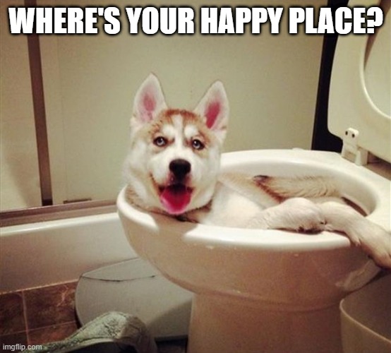 Where's your happy place? | WHERE'S YOUR HAPPY PLACE? | image tagged in happy place | made w/ Imgflip meme maker
