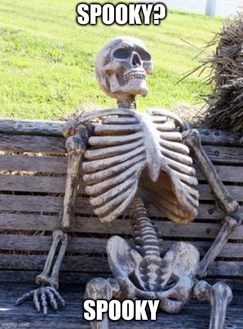 Waiting Skeleton Meme | SPOOKY? SPOOKY | image tagged in memes,waiting skeleton | made w/ Imgflip meme maker