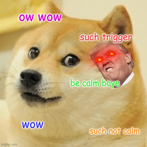 Doge Meme | ow wow; such trigger; be calm boye; wow; such not calm | image tagged in memes,doge | made w/ Imgflip meme maker