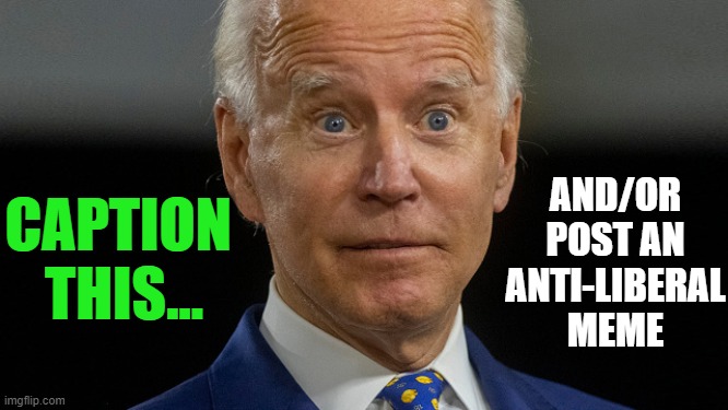You Know The Thing | AND/OR POST AN ANTI-LIBERAL MEME; CAPTION 

THIS... | image tagged in politics,political meme,joe biden,democratic socialism,insanity,liberal hypocrisy | made w/ Imgflip meme maker