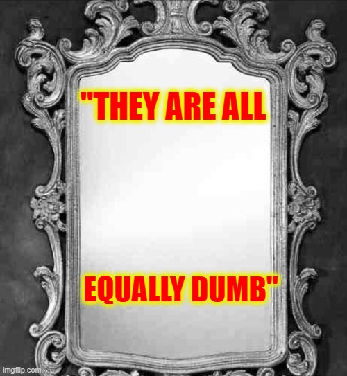 Mirror | "THEY ARE ALL EQUALLY DUMB" | image tagged in mirror | made w/ Imgflip meme maker