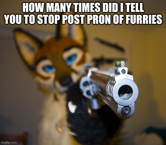 Furry with gun | HOW MANY TIMES DID I TELL YOU TO STOP POST PRON OF FURRIES | image tagged in furry with gun | made w/ Imgflip meme maker