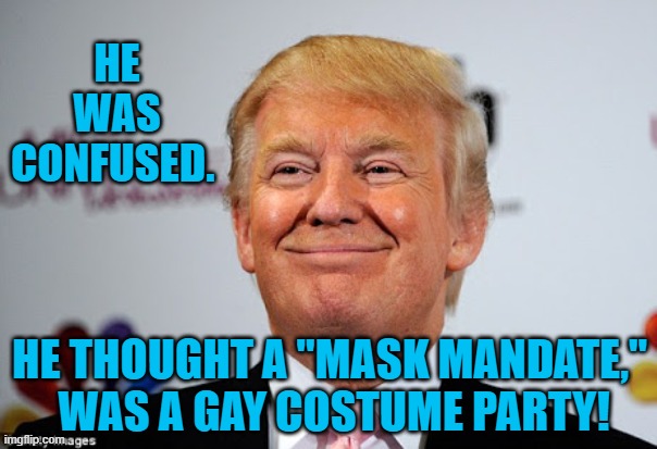 A Little Whimsy | HE WAS CONFUSED. HE THOUGHT A "MASK MANDATE,"
 WAS A GAY COSTUME PARTY! | image tagged in politics | made w/ Imgflip meme maker