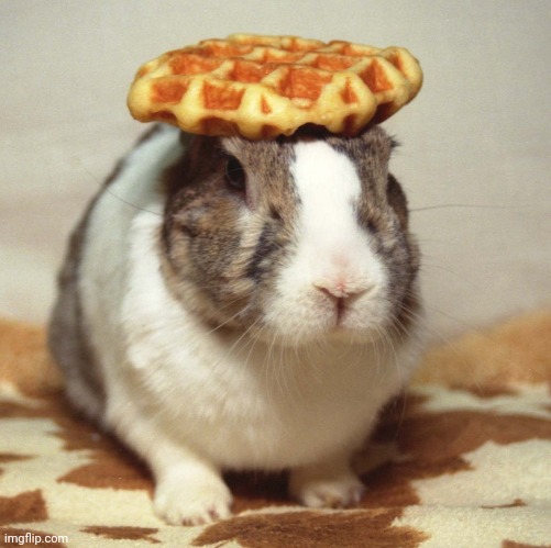 Bunny waffle | image tagged in bunny waffle | made w/ Imgflip meme maker