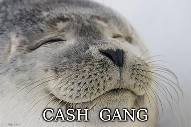 Cash Gang | CASH  GANG | image tagged in memes,satisfied seal | made w/ Imgflip meme maker