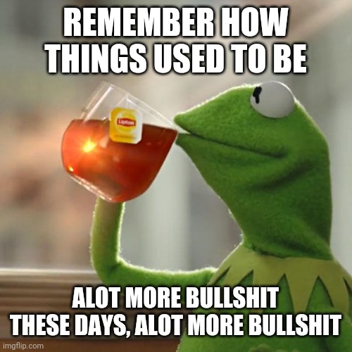 But That's None Of My Business | REMEMBER HOW THINGS USED TO BE; ALOT MORE BULLSHIT THESE DAYS, ALOT MORE BULLSHIT | image tagged in memes,but that's none of my business,kermit the frog | made w/ Imgflip meme maker