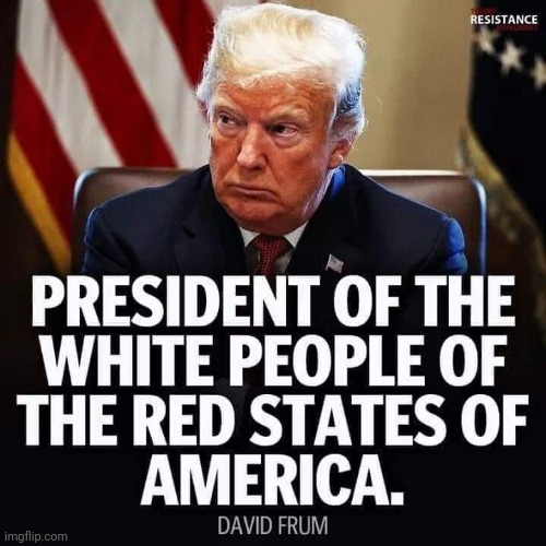 President of white, red America | image tagged in donald trump,conservatives,joe biden,election 2020,liberals,maga | made w/ Imgflip meme maker