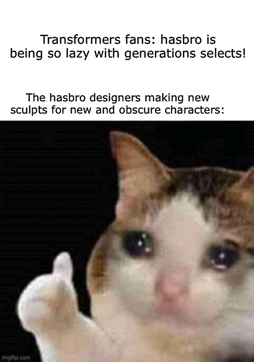 Generations selects are good | Transformers fans: hasbro is being so lazy with generations selects! The hasbro designers making new sculpts for new and obscure characters: | image tagged in sad thumbs up cat,memes,transformers,hasbro | made w/ Imgflip meme maker
