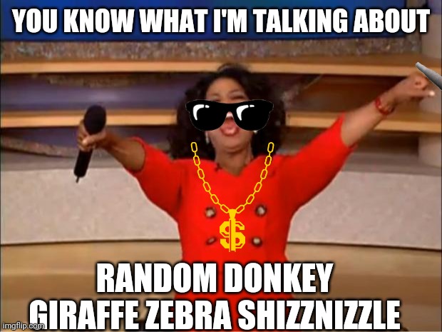 Oprah You Get A Meme | YOU KNOW WHAT I'M TALKING ABOUT; RANDOM DONKEY GIRAFFE ZEBRA SHIZZNIZZLE | image tagged in memes,oprah you get a | made w/ Imgflip meme maker
