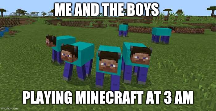 Me and the boys | ME AND THE BOYS; PLAYING MINECRAFT AT 3 AM | image tagged in me and the boys,minecraft,3 am,me and the boys at 3 am,memes,funny | made w/ Imgflip meme maker