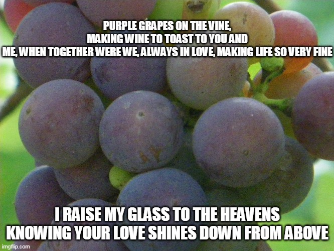 Wine With Love | PURPLE GRAPES ON THE VINE, MAKING WINE TO TOAST TO YOU AND ME, WHEN TOGETHER WERE WE, ALWAYS IN LOVE, MAKING LIFE SO VERY FINE; I RAISE MY GLASS TO THE HEAVENS KNOWING YOUR LOVE SHINES DOWN FROM ABOVE | image tagged in wine,purple grapes,grapes,love | made w/ Imgflip meme maker