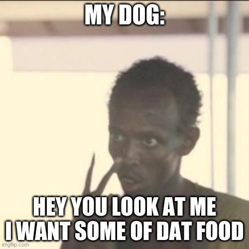 I want some of dat food |  MY DOG:; HEY YOU LOOK AT ME I WANT SOME OF DAT FOOD | image tagged in memes,look at me | made w/ Imgflip meme maker