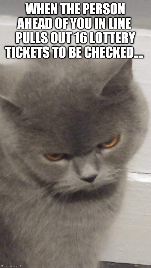 WHEN THE PERSON AHEAD OF YOU IN LINE  PULLS OUT 16 LOTTERY TICKETS TO BE CHECKED.... | image tagged in funny,grumpy cat,cats,lottery,cat | made w/ Imgflip meme maker