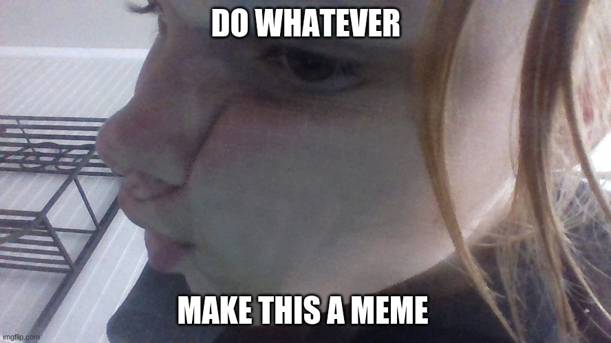 fishy |  DO WHATEVER; MAKE THIS A MEME | image tagged in fishy | made w/ Imgflip meme maker