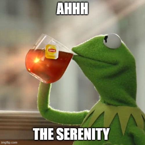 But That's None Of My Business Meme | AHHH; THE SERENITY | image tagged in memes,but that's none of my business,kermit the frog | made w/ Imgflip meme maker