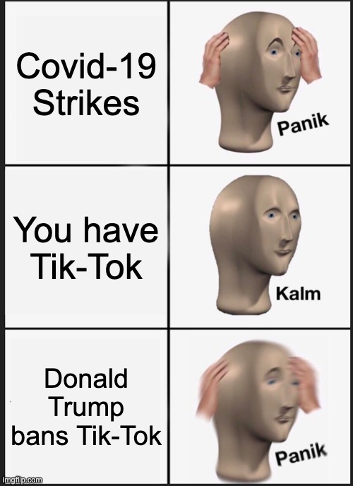 Panik Kalm Panik | Covid-19 Strikes; You have Tik-Tok; Donald Trump bans Tik-Tok | image tagged in memes,panik kalm panik | made w/ Imgflip meme maker
