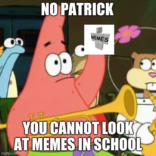 MEMES | NO PATRICK; YOU CANNOT LOOK AT MEMES IN SCHOOL | image tagged in memes,no patrick | made w/ Imgflip meme maker