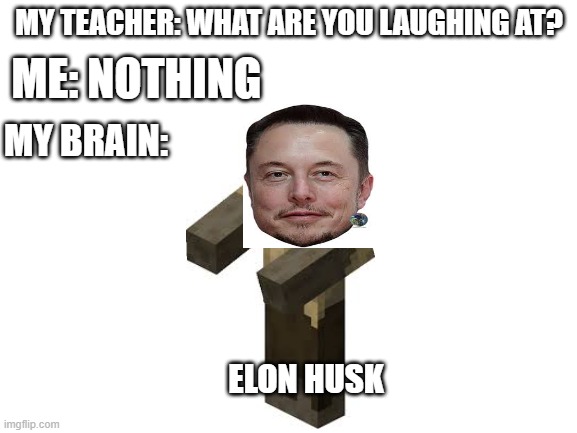 Blank White Template | MY TEACHER: WHAT ARE YOU LAUGHING AT? ME: NOTHING; MY BRAIN:; ELON HUSK | image tagged in blank white template | made w/ Imgflip meme maker