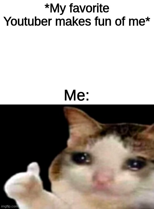 Sad cat thumbs up white spacing | *My favorite Youtuber makes fun of me*; Me: | image tagged in sad cat thumbs up white spacing | made w/ Imgflip meme maker