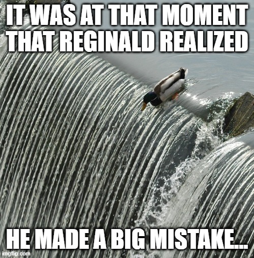 Going Over....... | IT WAS AT THAT MOMENT THAT REGINALD REALIZED; HE MADE A BIG MISTAKE... | image tagged in duck over waterfall | made w/ Imgflip meme maker